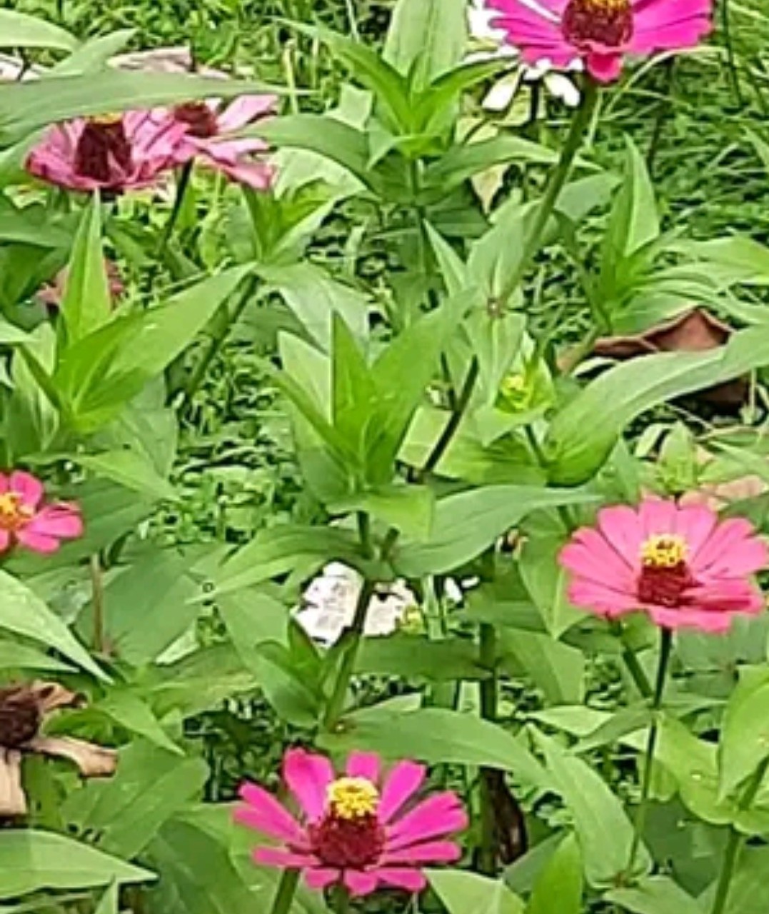 IMG_20211201_133934.jpg