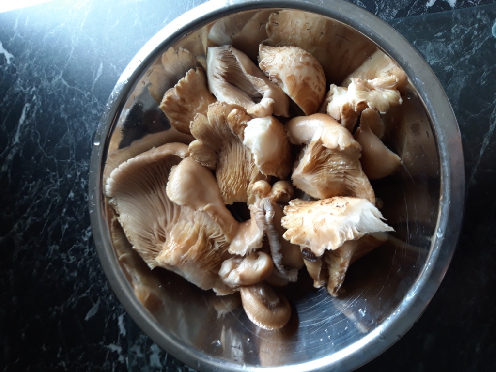 20190428_175836.jpg