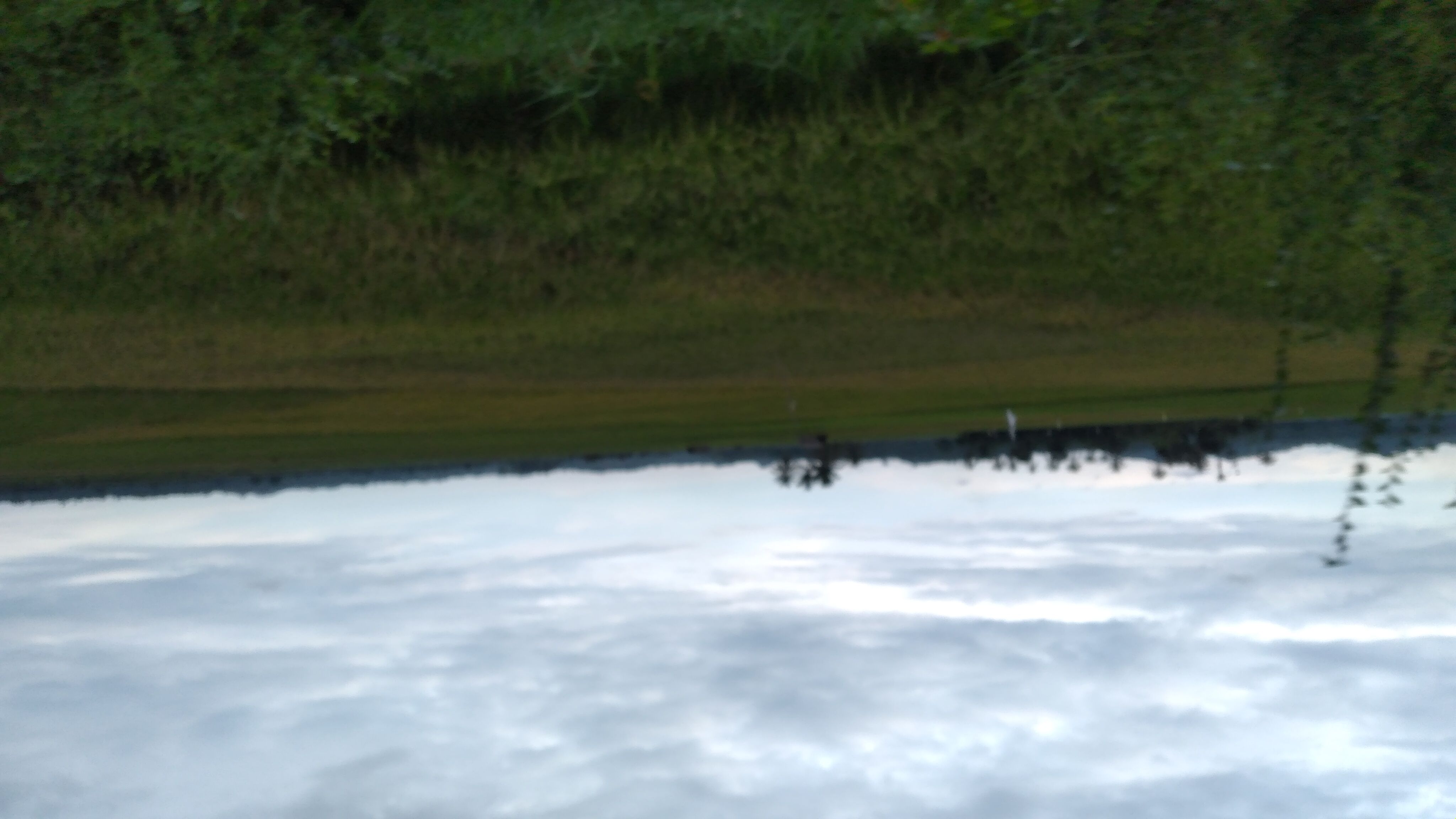 20230507_175048.jpg