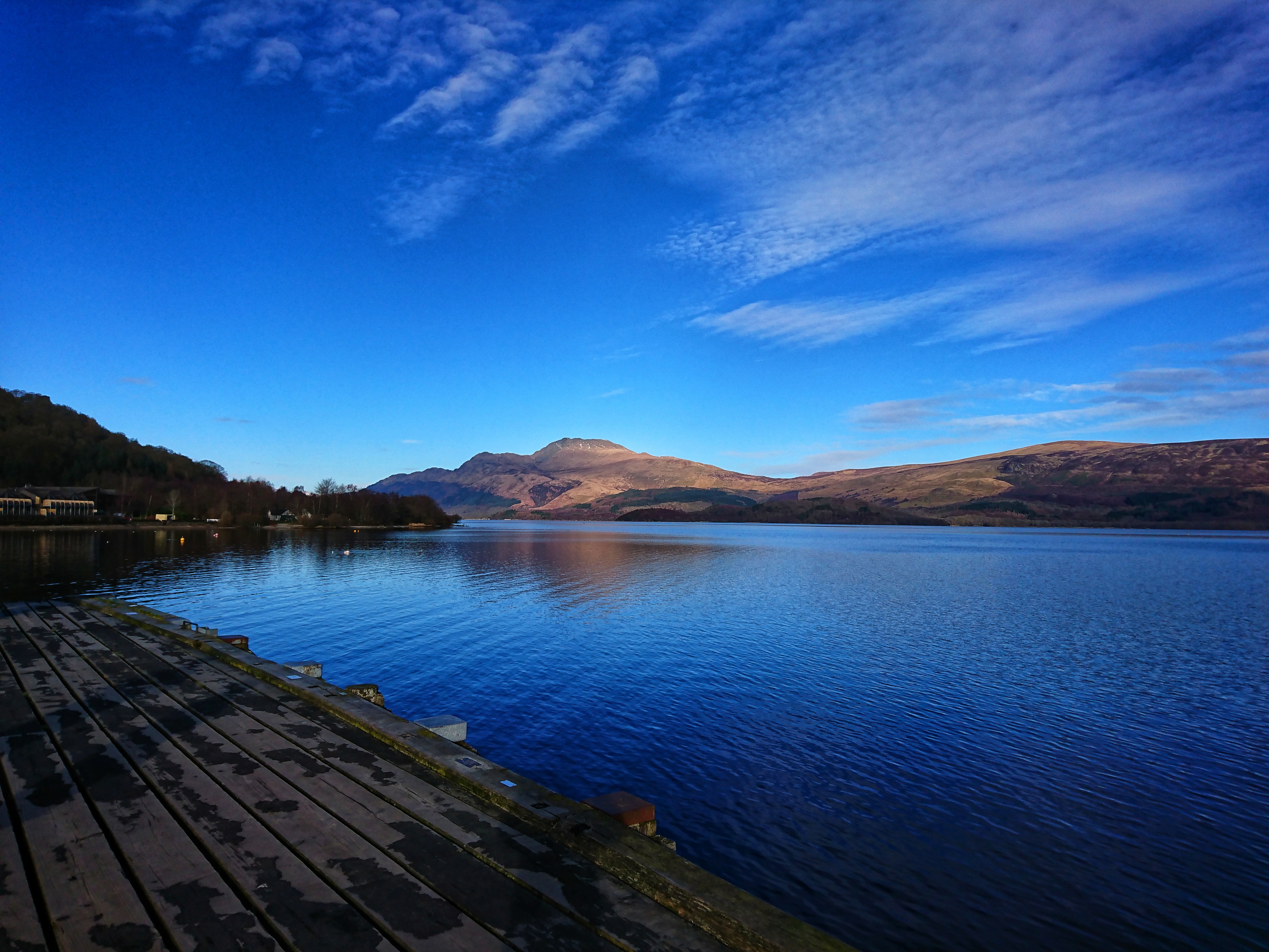 DSC_2307-01.jpeg