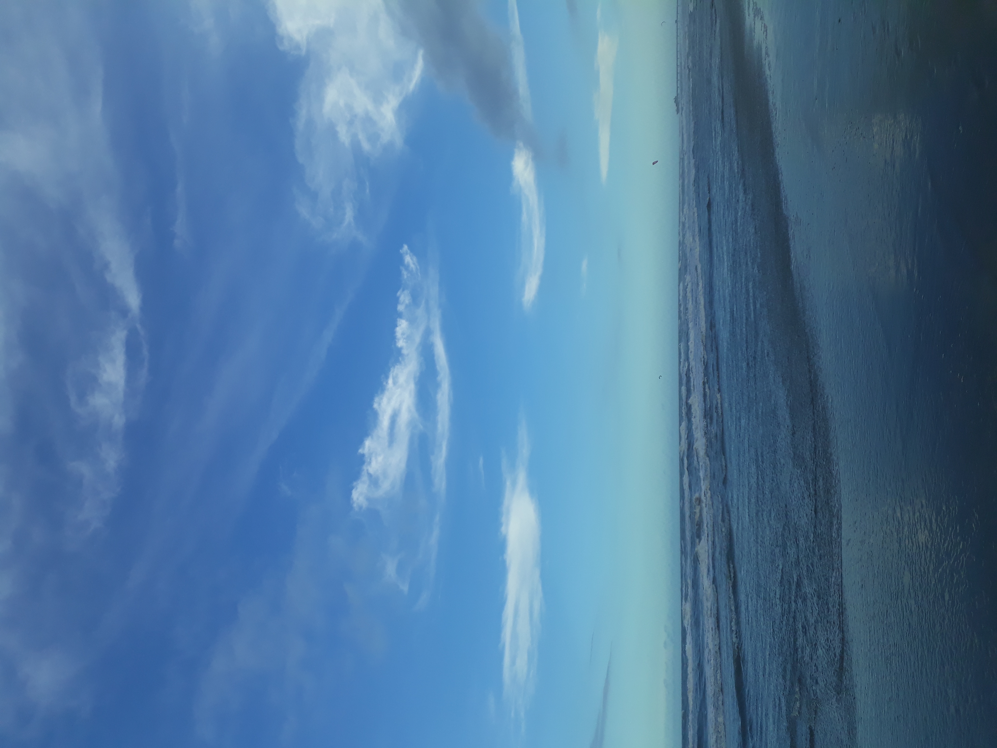 20230314_171851.jpg