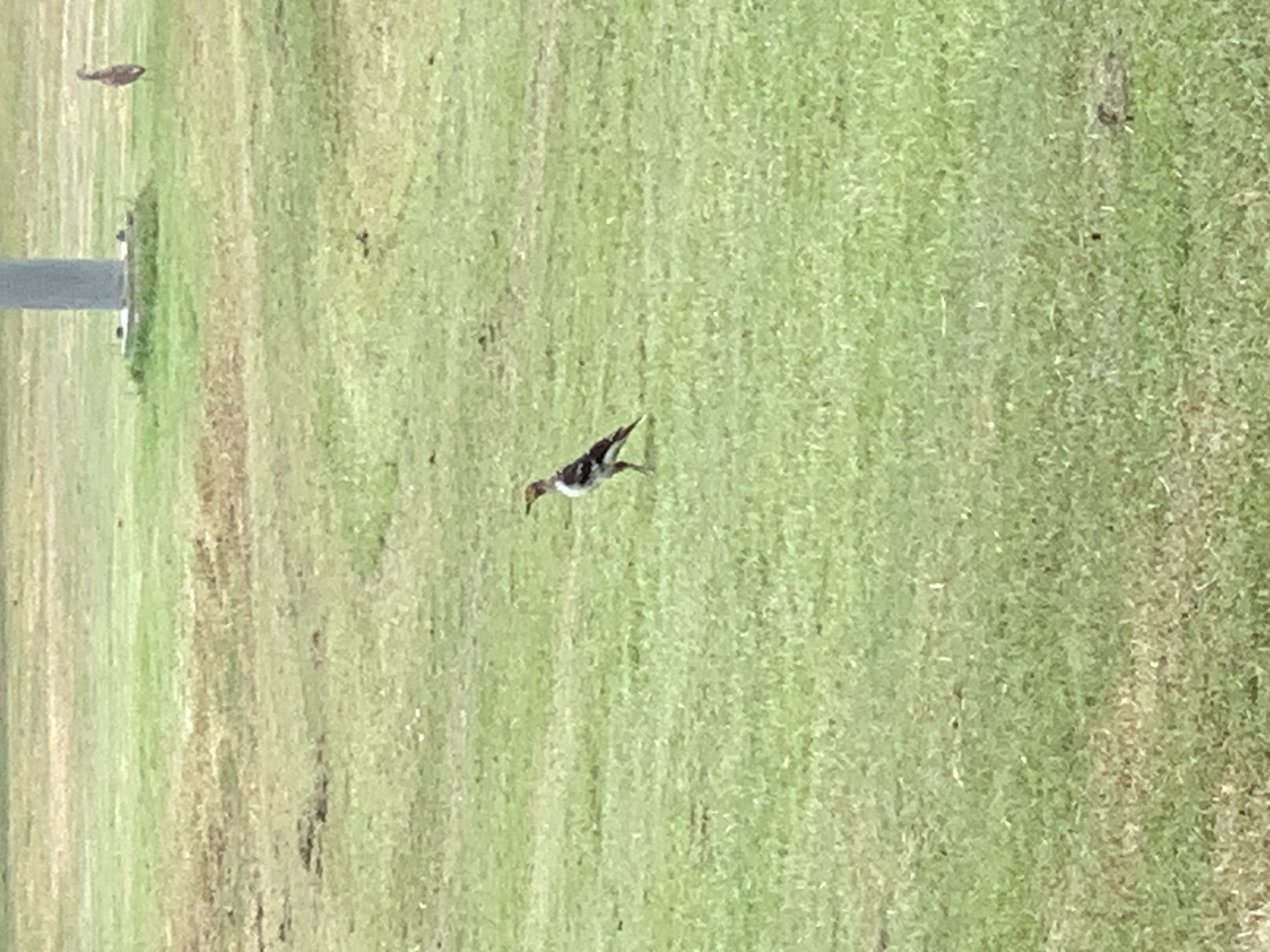 birdwatching spots27.jpg