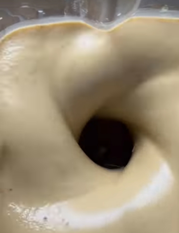 1000391088.jpg