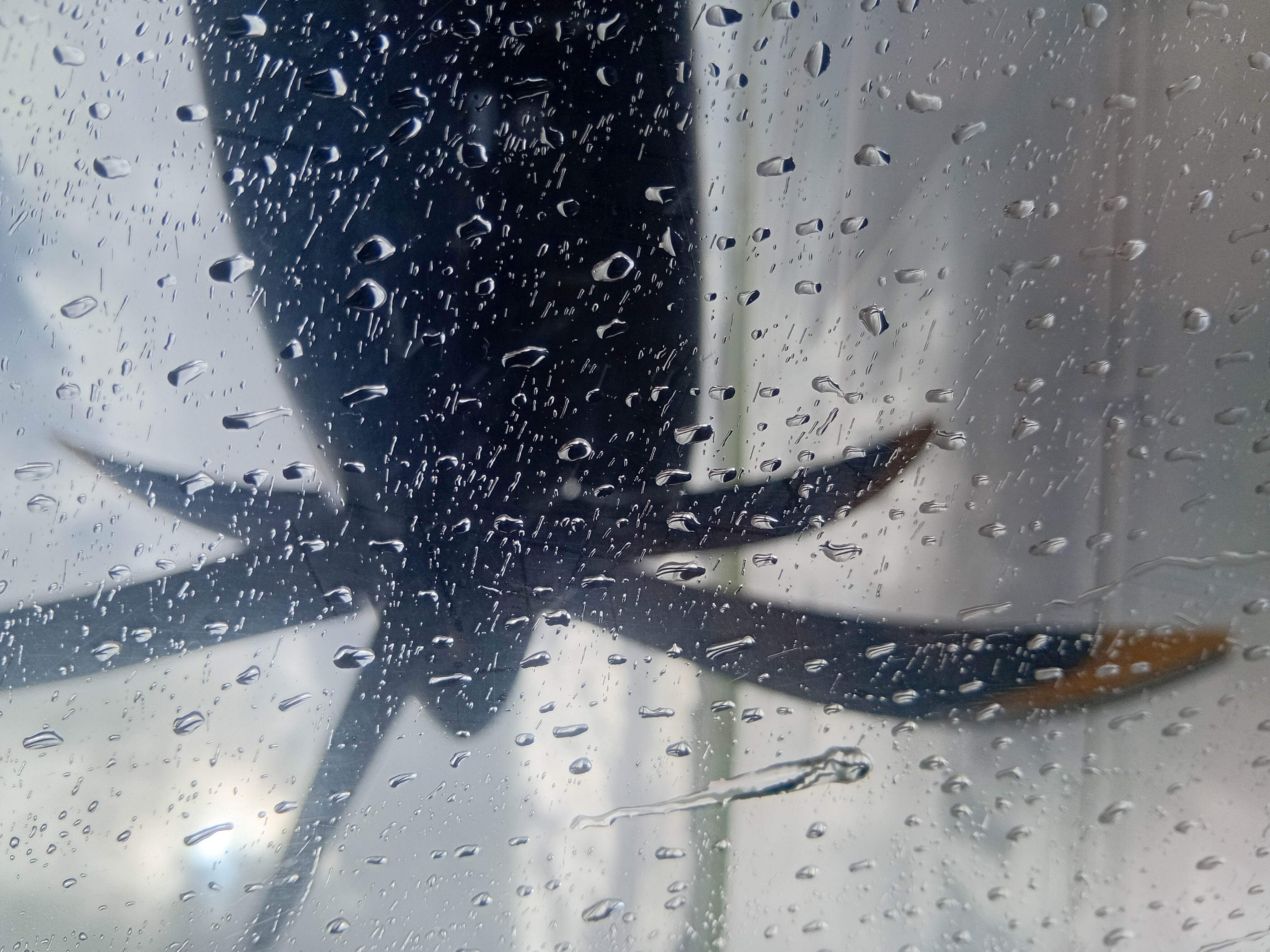 20260621_133454.jpg