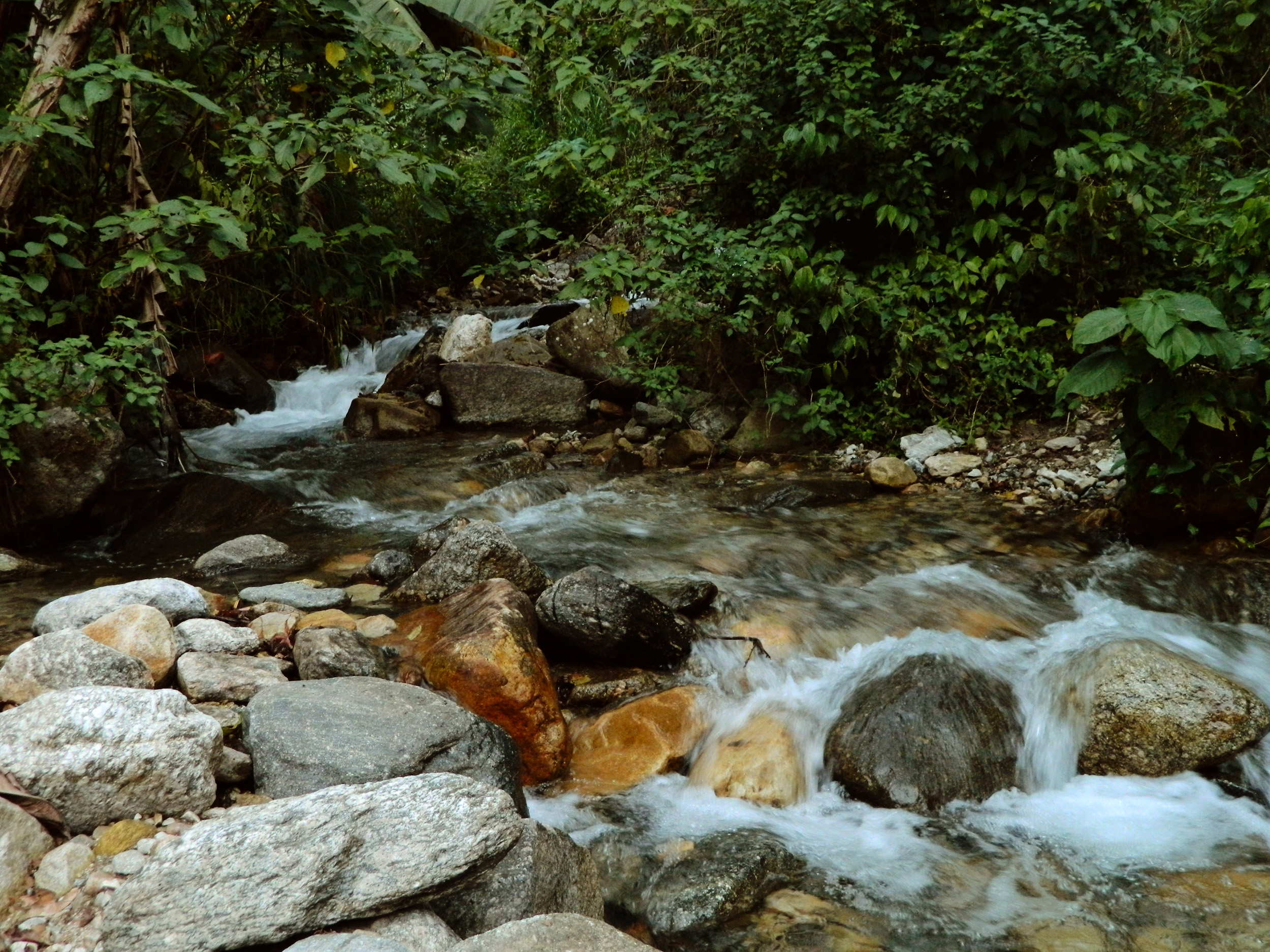 DSCN0288.jpg