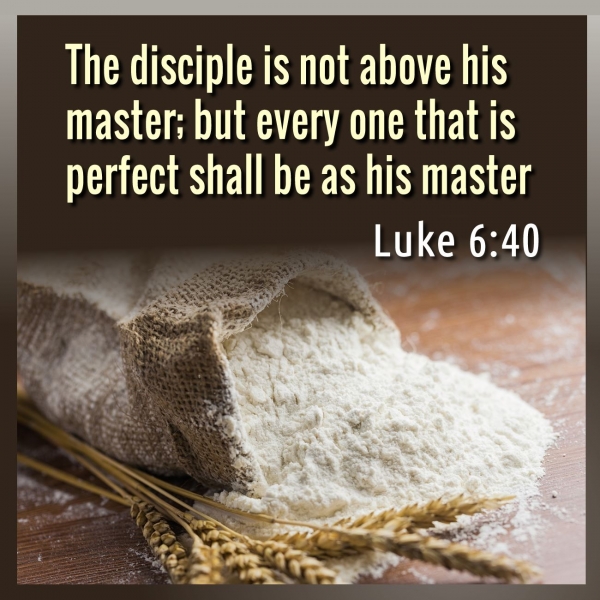 The disciple is not above his master; but every one that is perfect shall be as his master. Luke 6,40. Meaning and exegesis.jpg