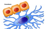 dual_box_Fotolia_85835939_Subscription_Monthly_M.jpg