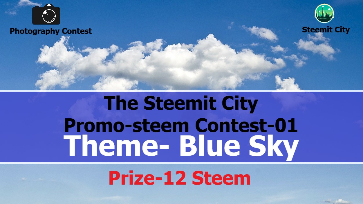 new contest.jpg