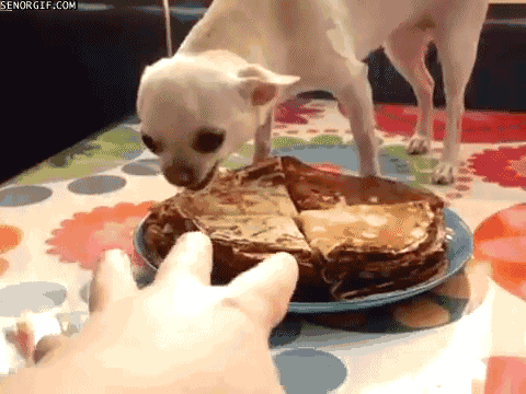 E5454DC1-95D4-4037-8F0F-2869B9E3747F.gif