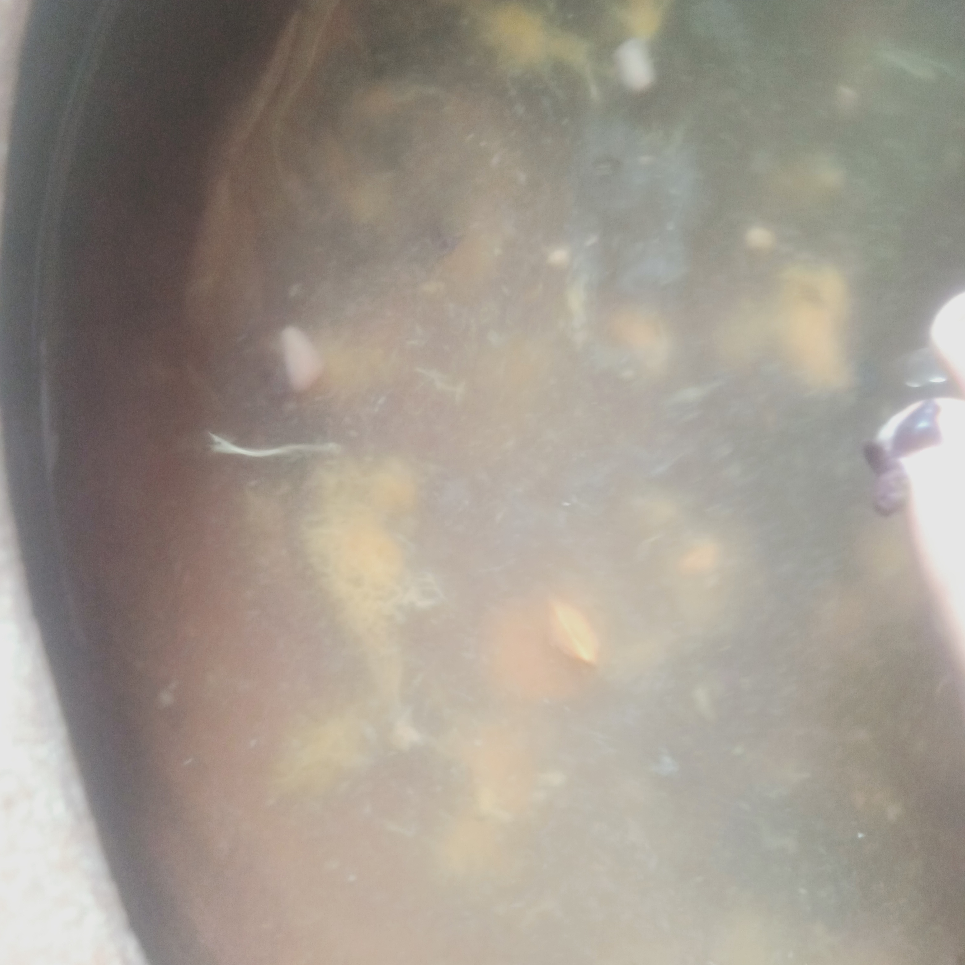 IMG20240703082217.jpg