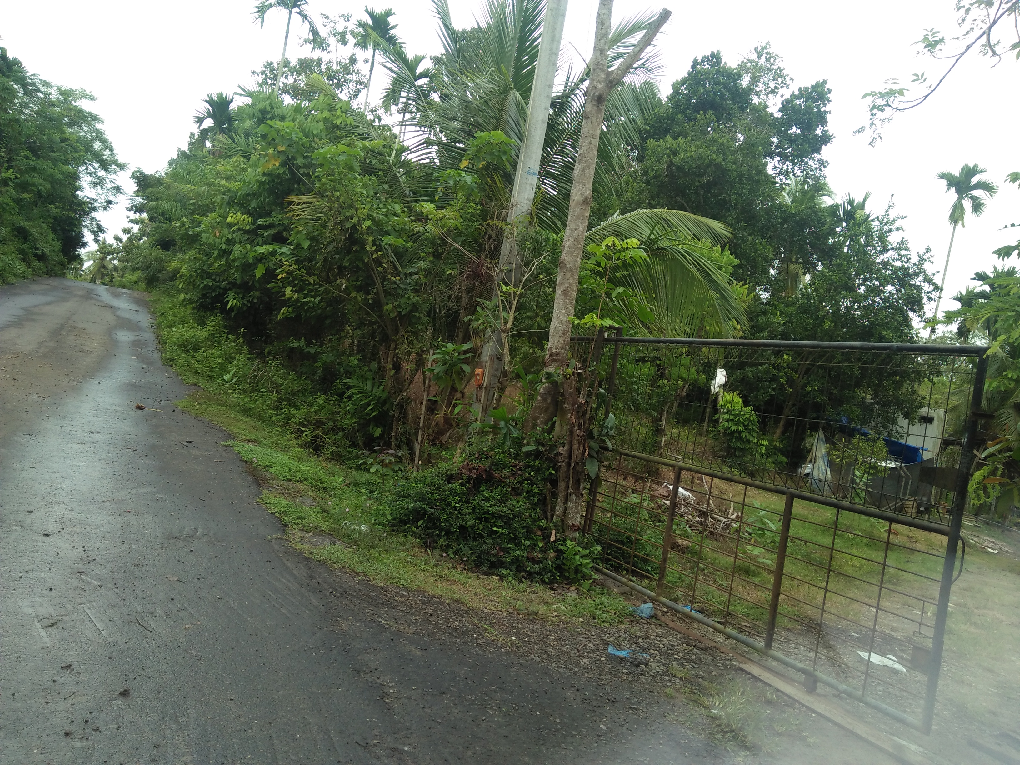 IMG20211129102256_5.jpg
