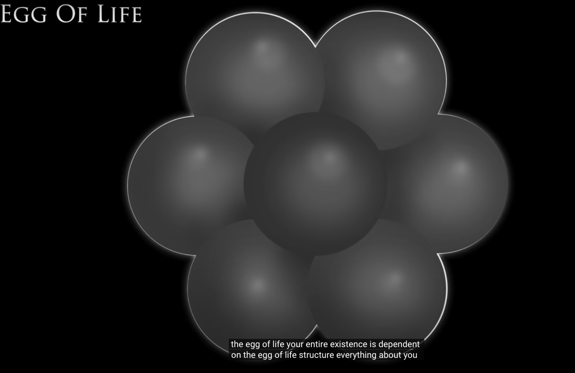 Screen Shot 2024-02-11 at 11.40.29 AM.png