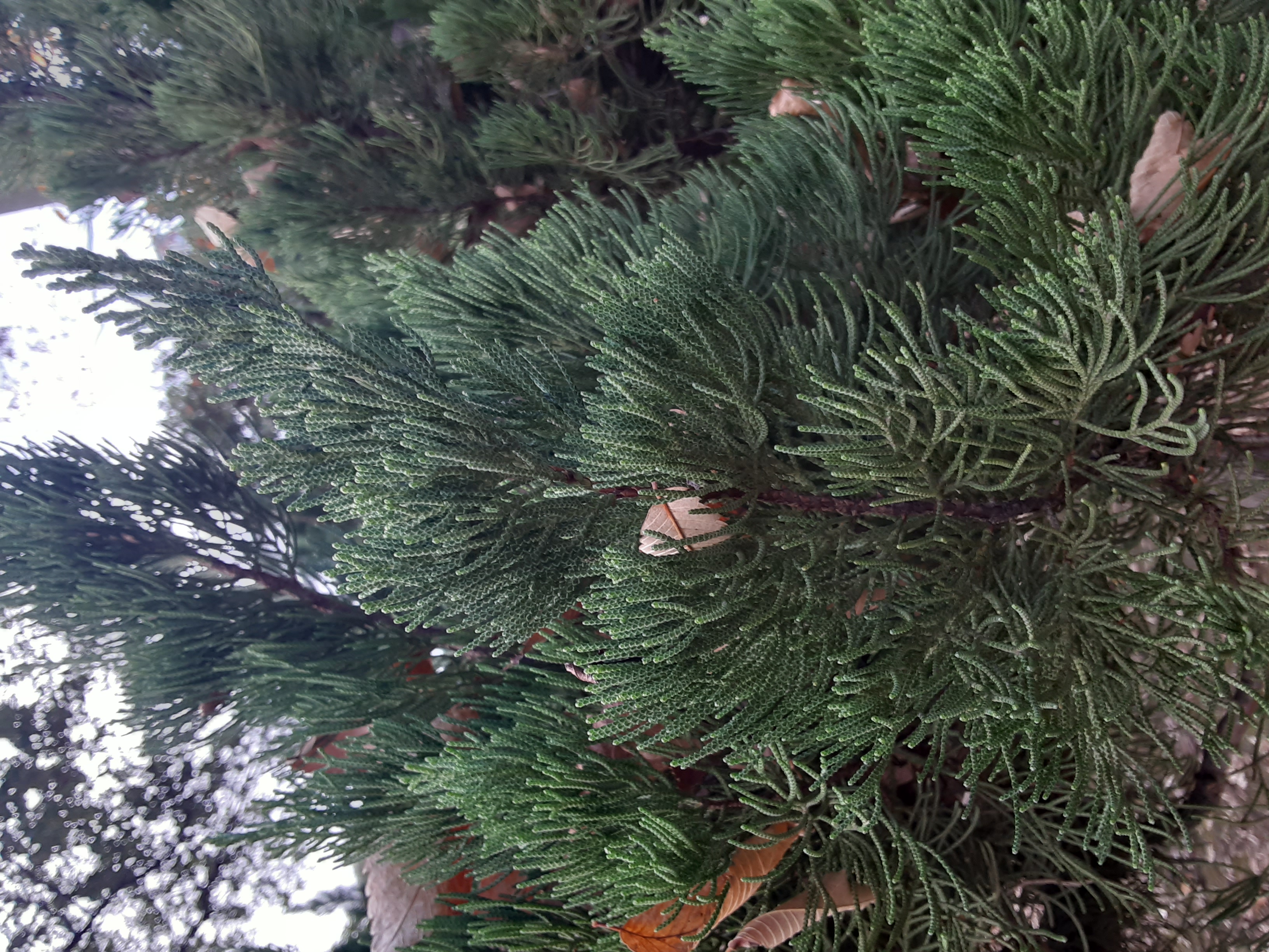 20241208_111139.jpg