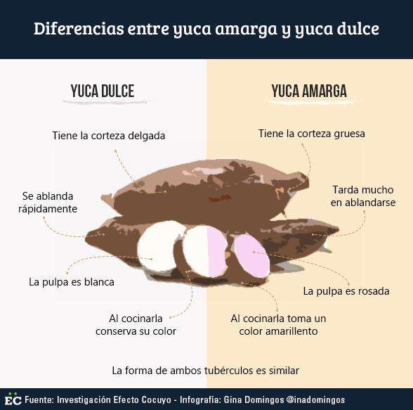 Diferencia-entre-yuca-amarga-y-yuca-dulce.jpg
