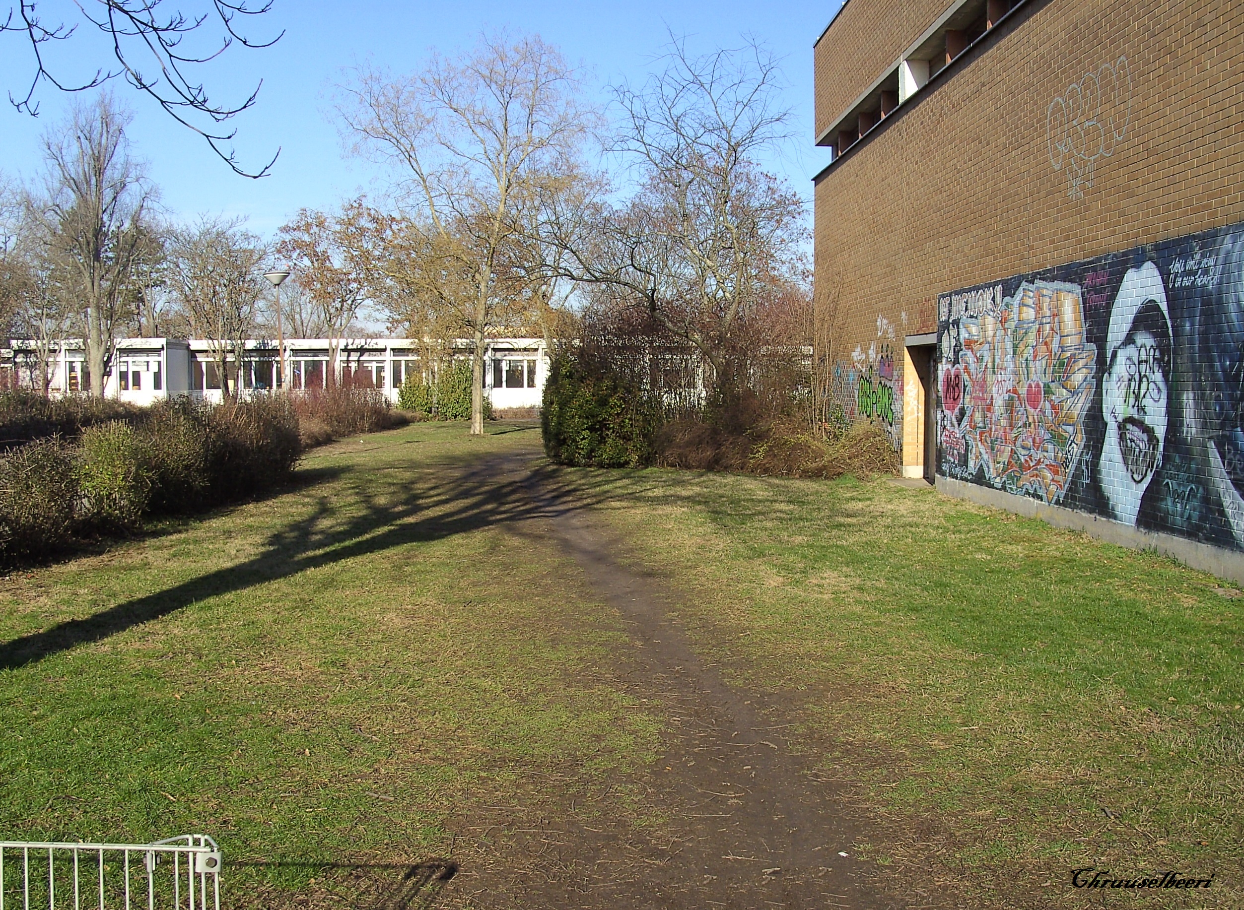 Trampelpfad_02.jpg