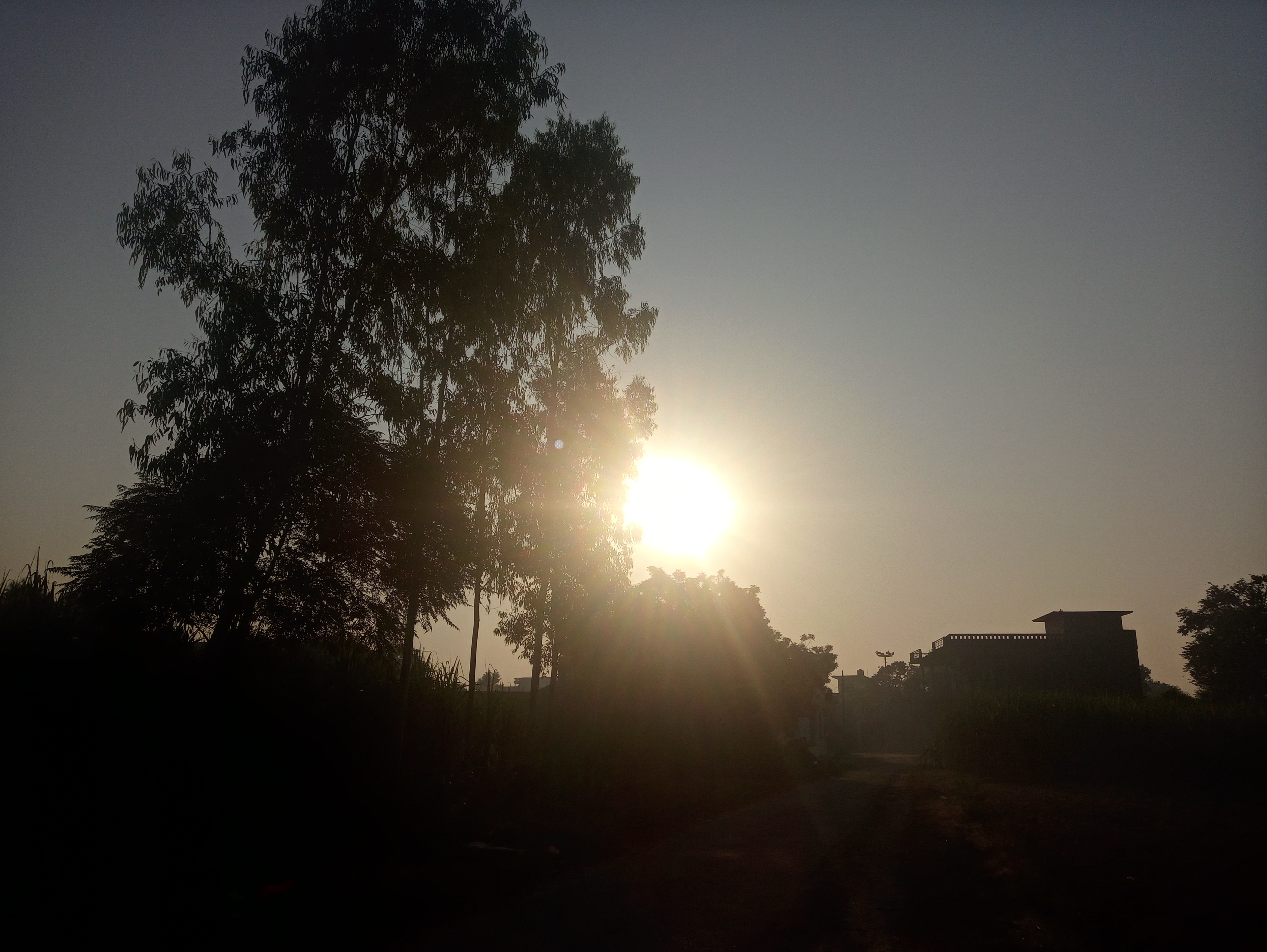 20201018_072826_HDR.jpg