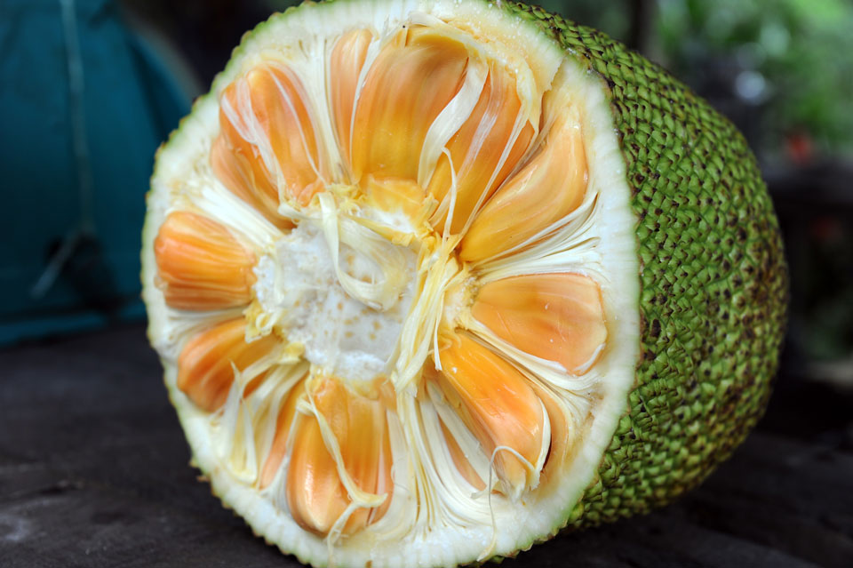 Getty%20jacfruit.jpg