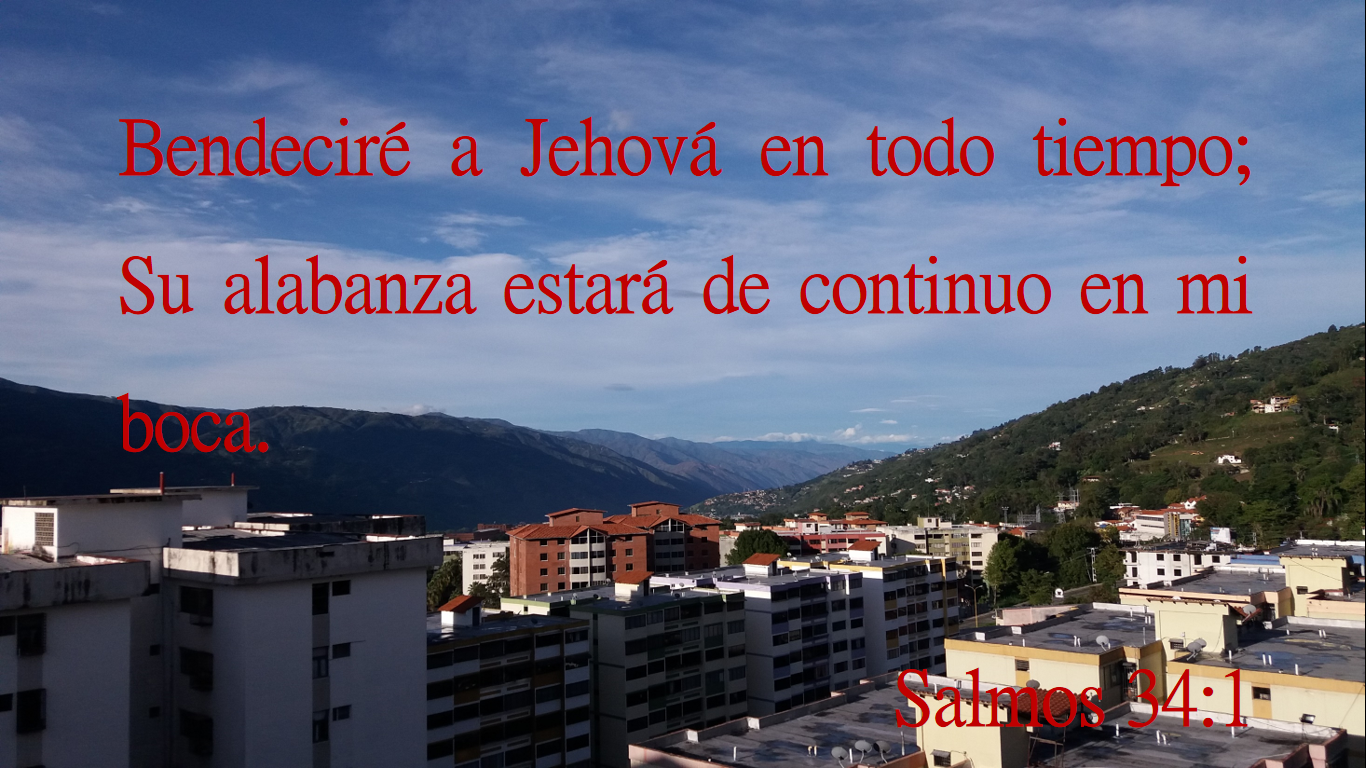 Captura de pantalla (211).png