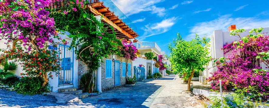 bodrum.webp