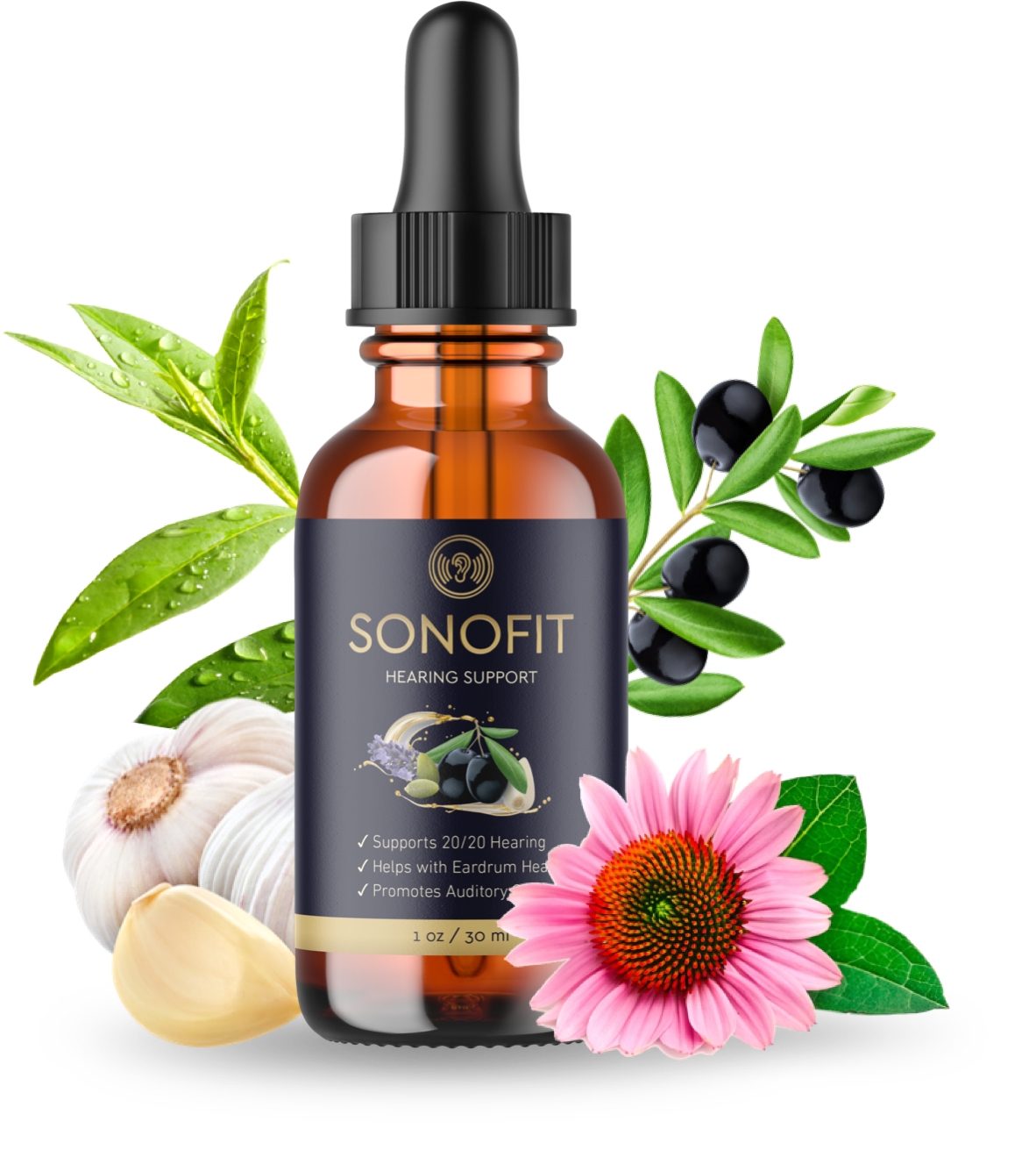 SonoFit.png