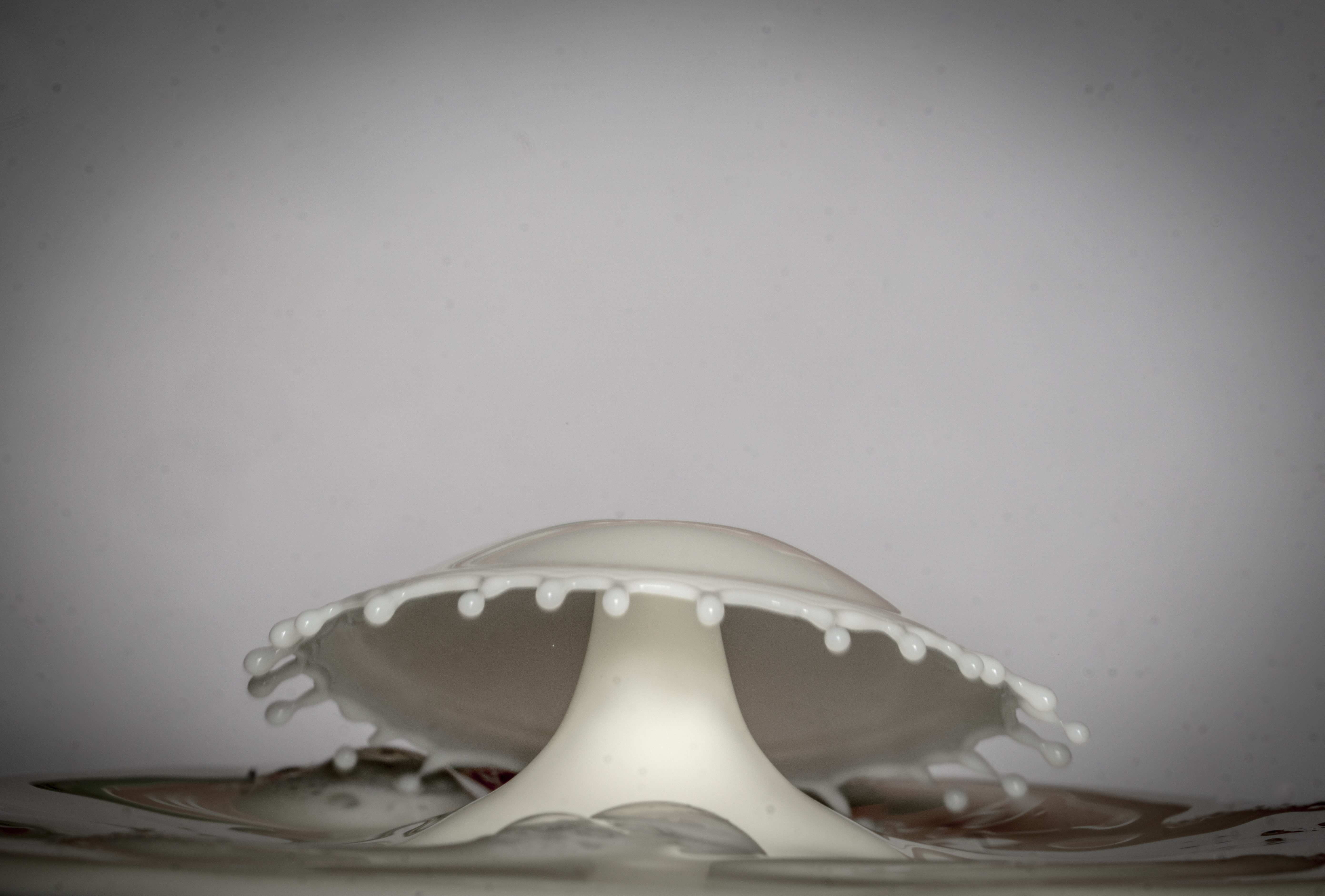 glas of milk06.jpg