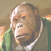 monkeydex