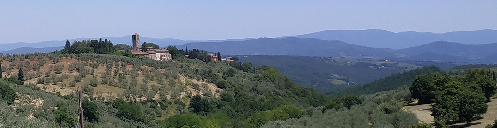 IMG_20190605_133334.jpg