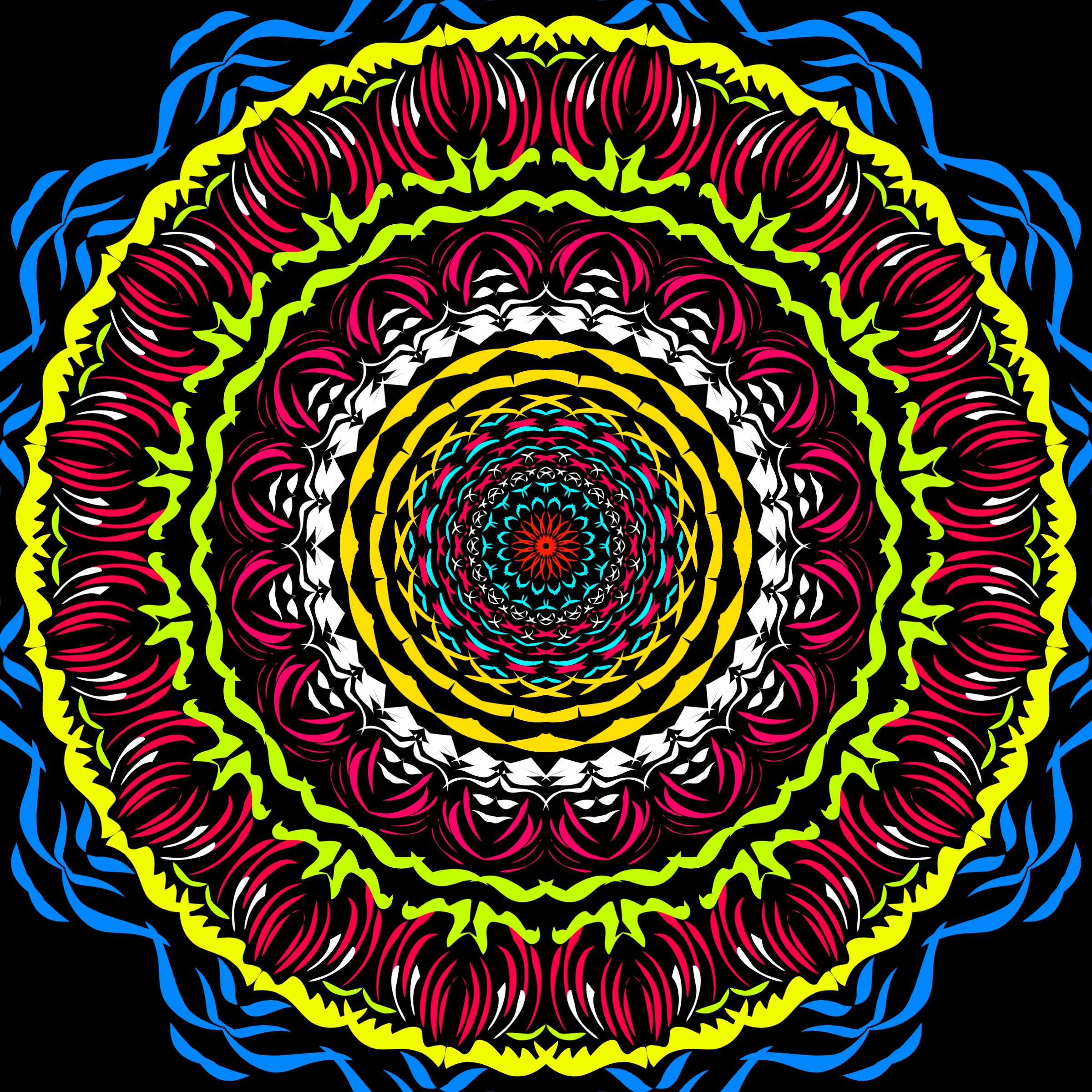 tuft7ftfu (20241107112558).jpg