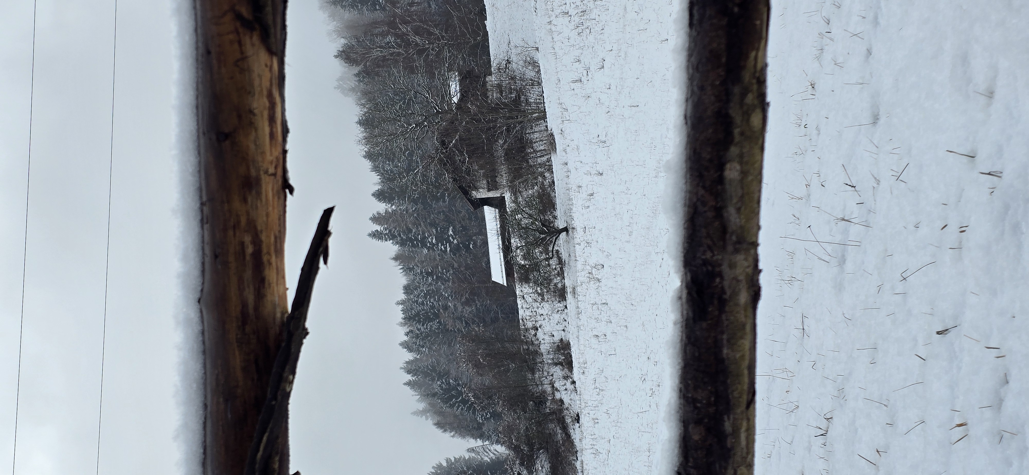20260124_150302.jpg