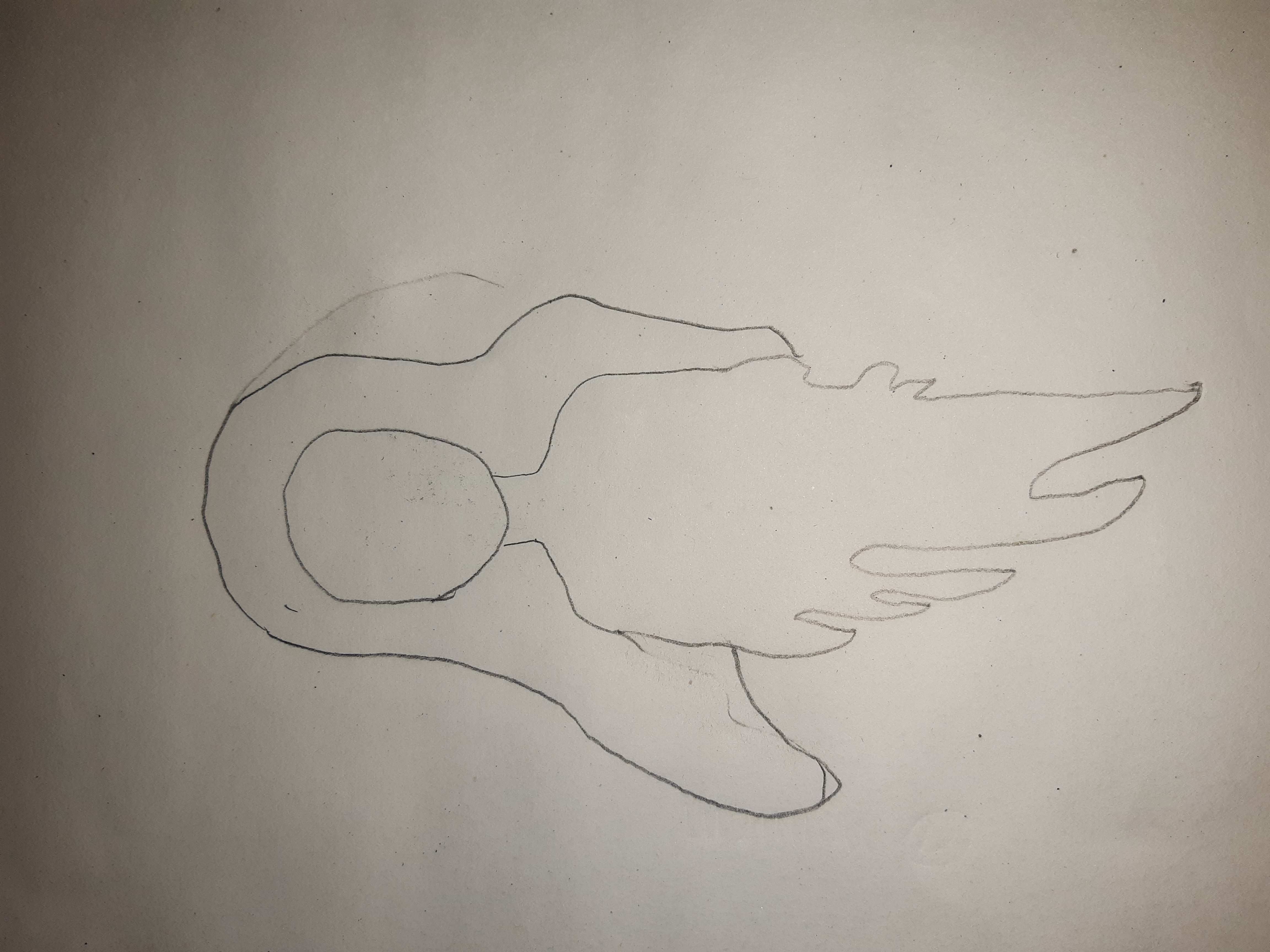 20230127_225815.jpg