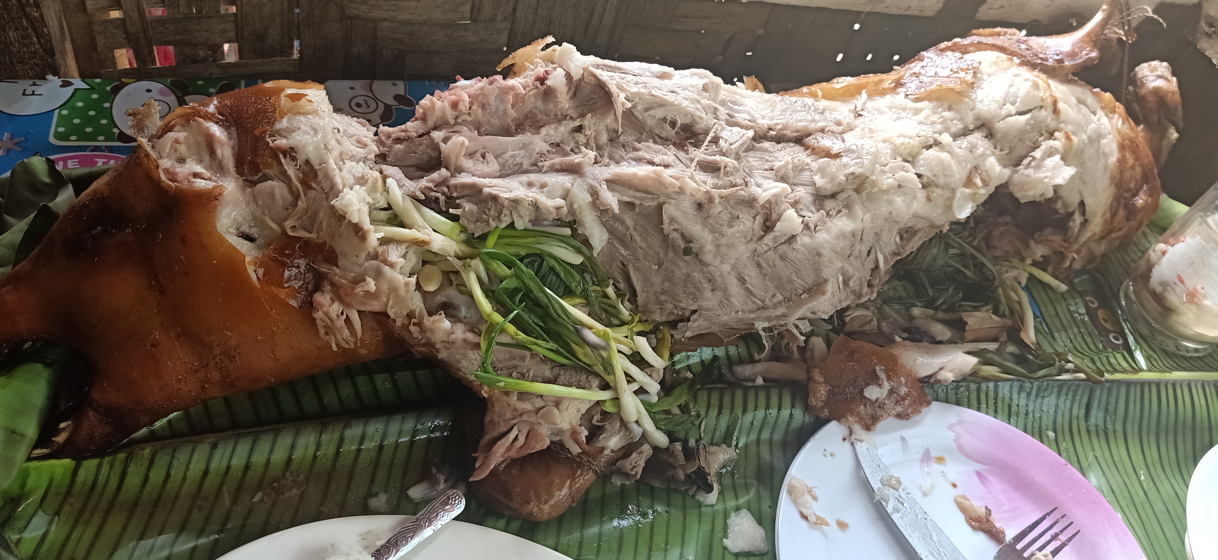 IMG20190629133445.jpg
