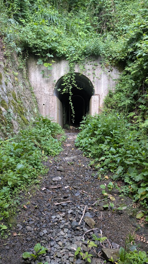 PXL_20260710_230435080.jpg