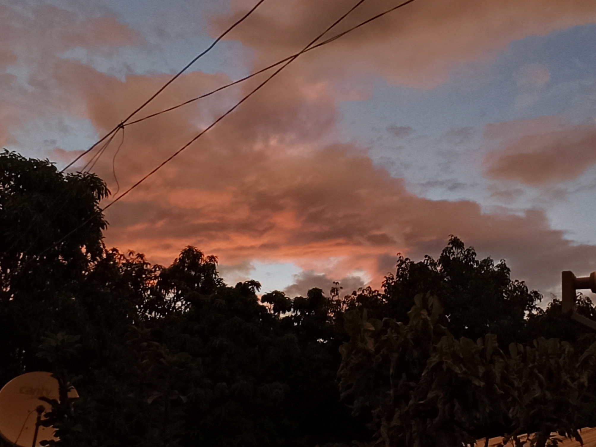 IMG_20230614_162258.jpg