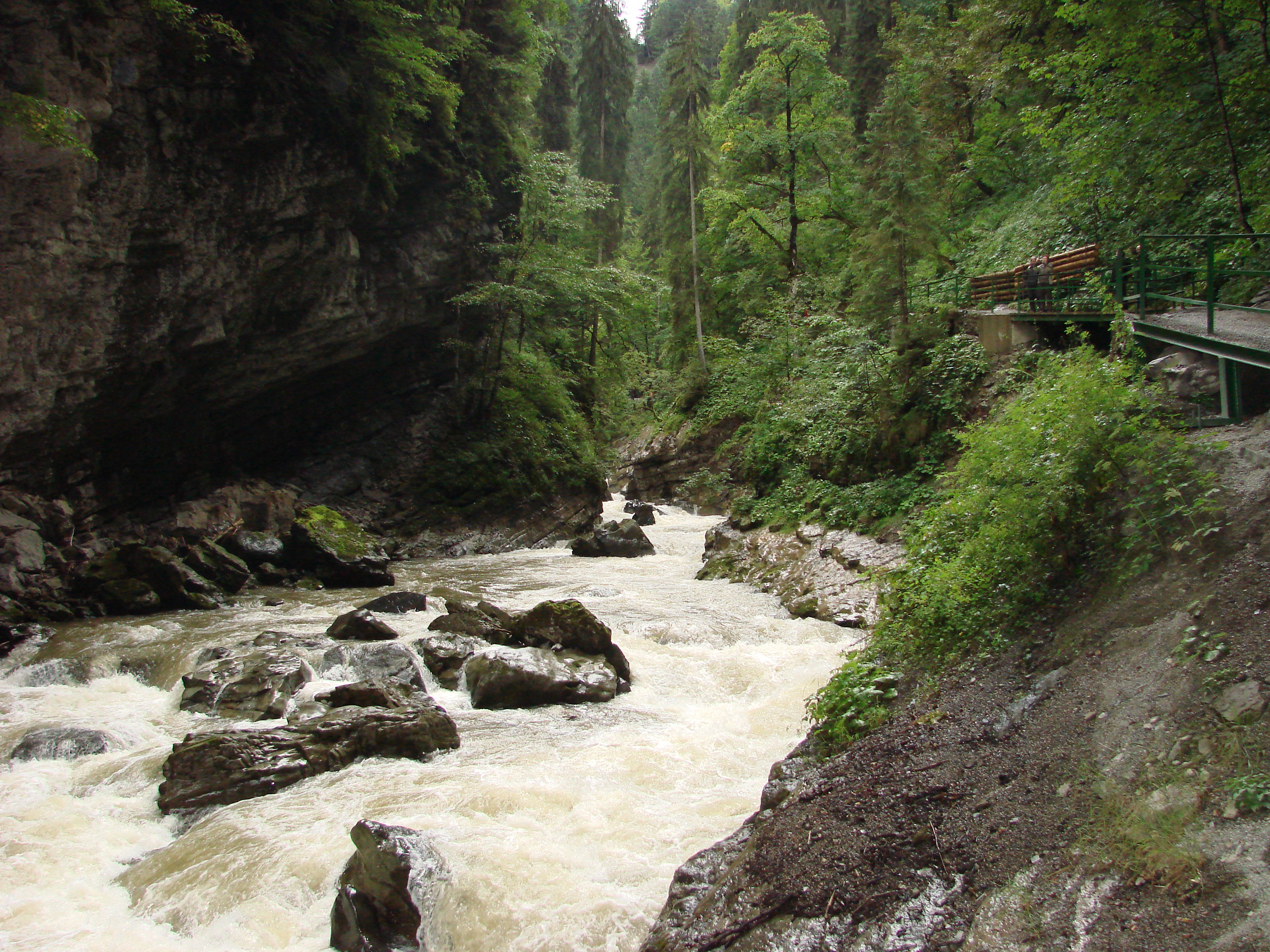 DSC03205.JPG