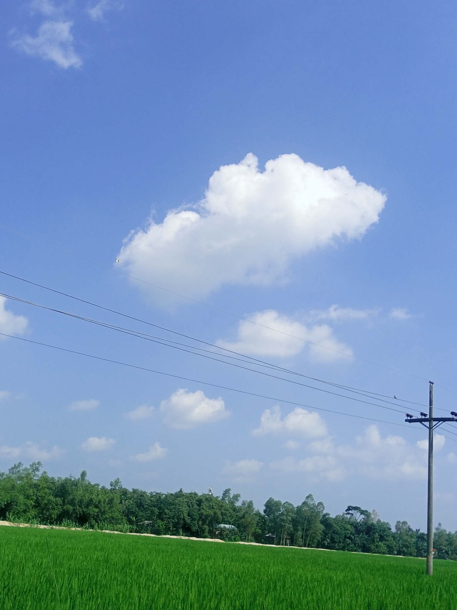IMG_20221001_133954_189.jpg