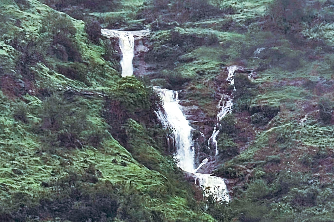 IMG-20260729-WA0008.jpg