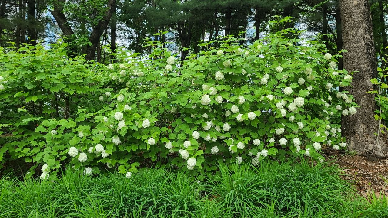IMAGE 2026-07-26 04:28:48.jpg