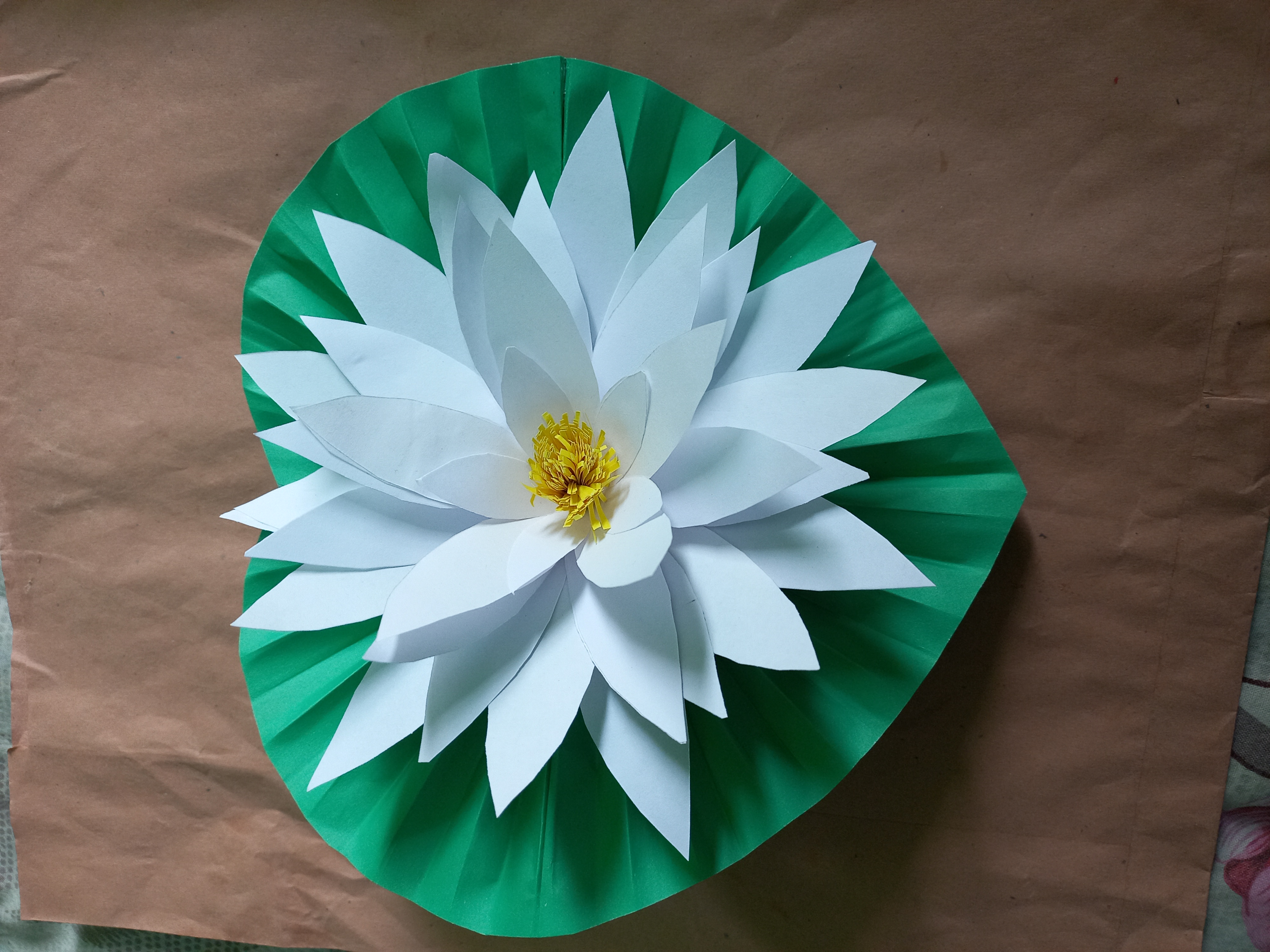 20220126_121443.jpg