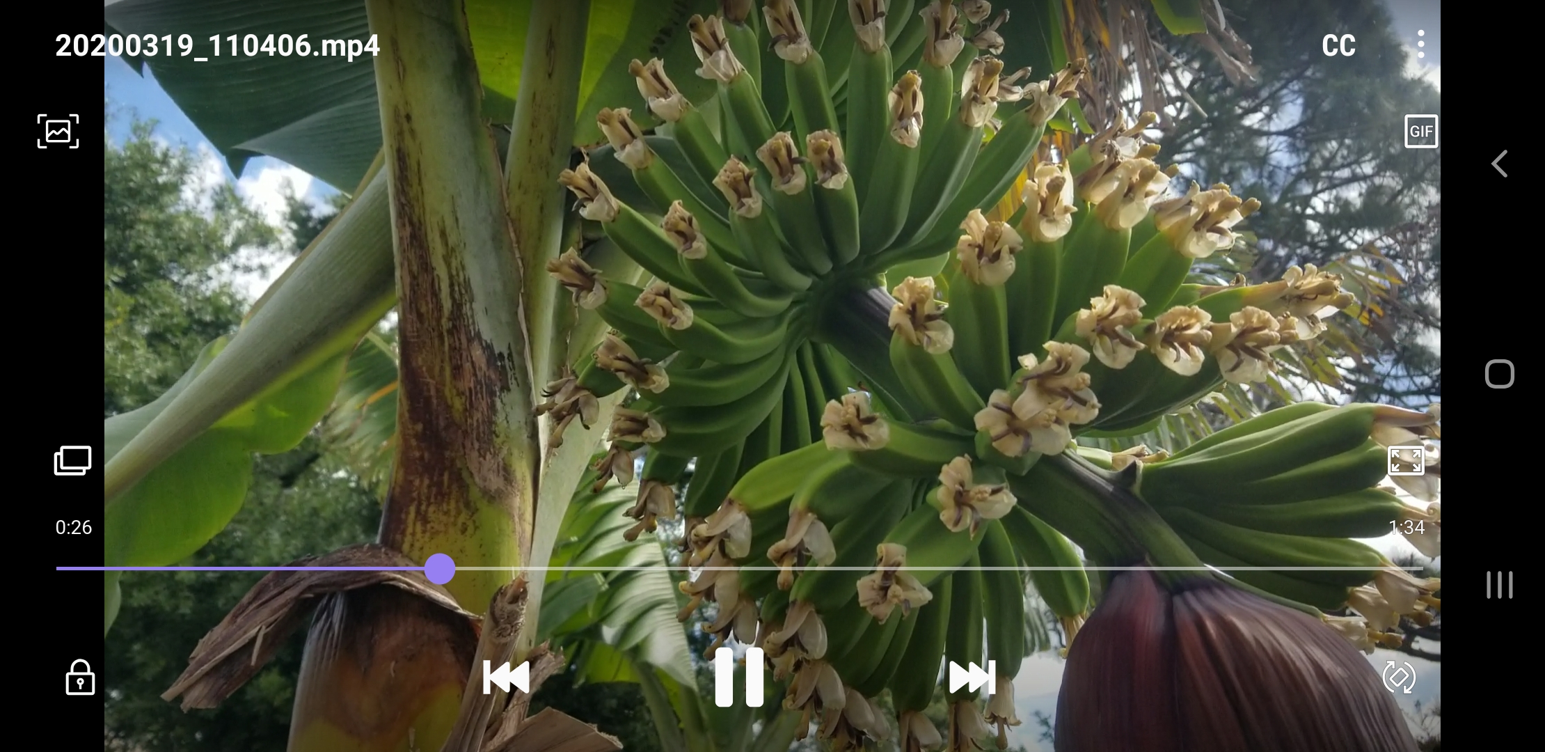 Screenshot_20200319-110650_Video Player.jpg