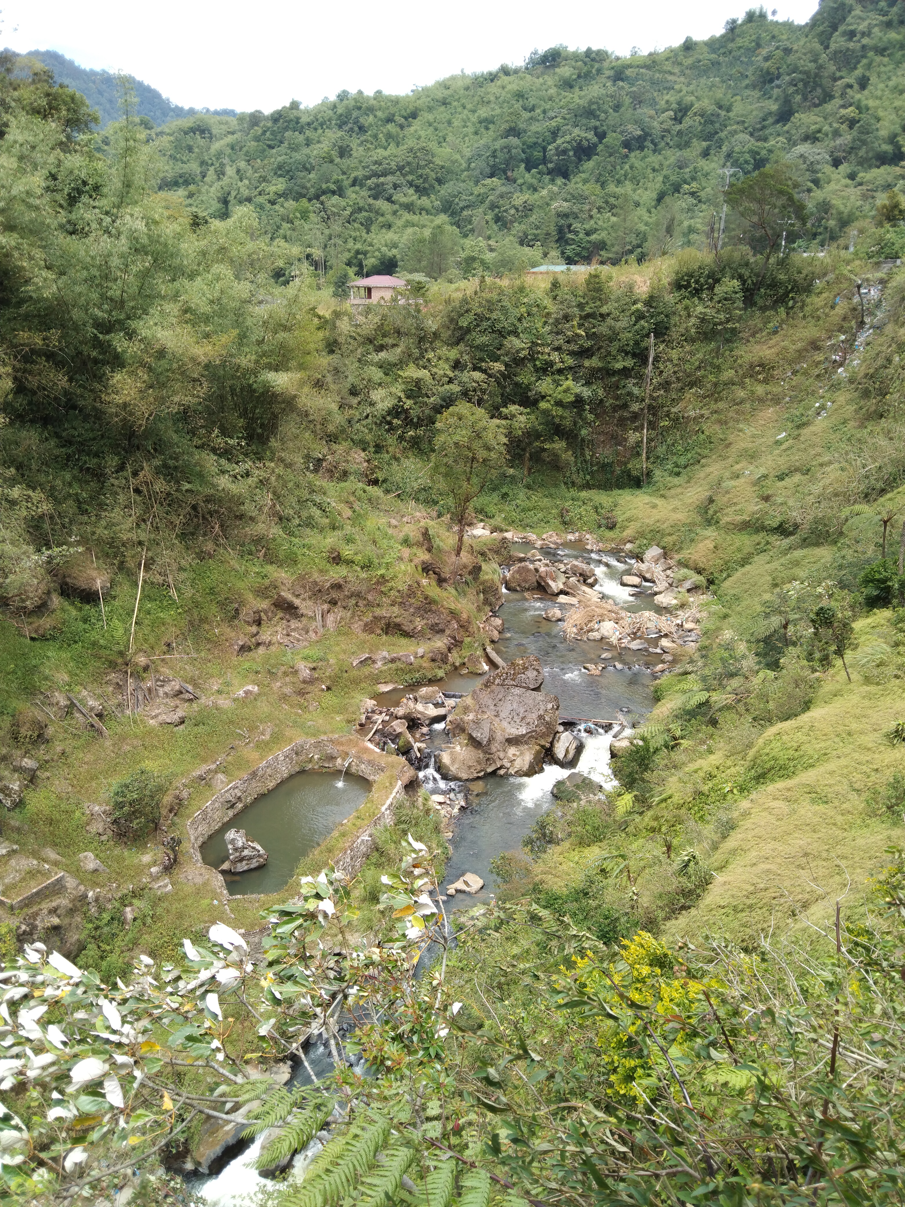 IMG_20210724_121820.jpg