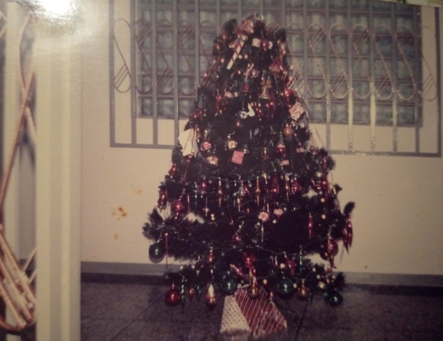 IMG_20211221_224242_701.jpg