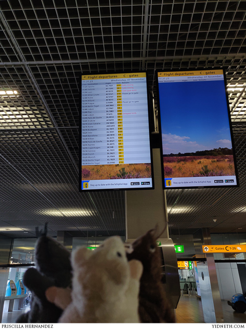 krakow - by priscilla Hernandez (yidneth.com).jpg