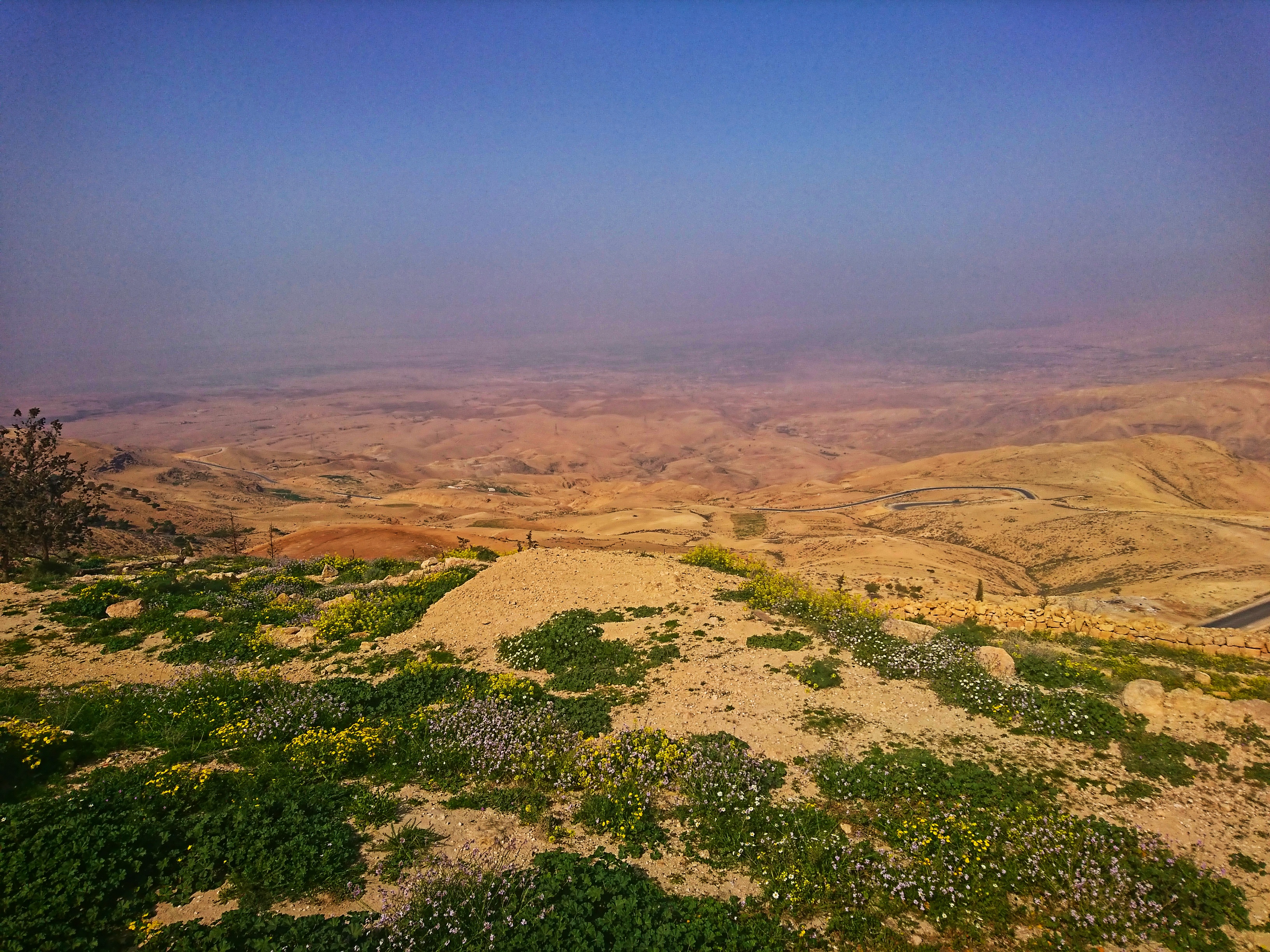 DSC_0879-01.jpeg