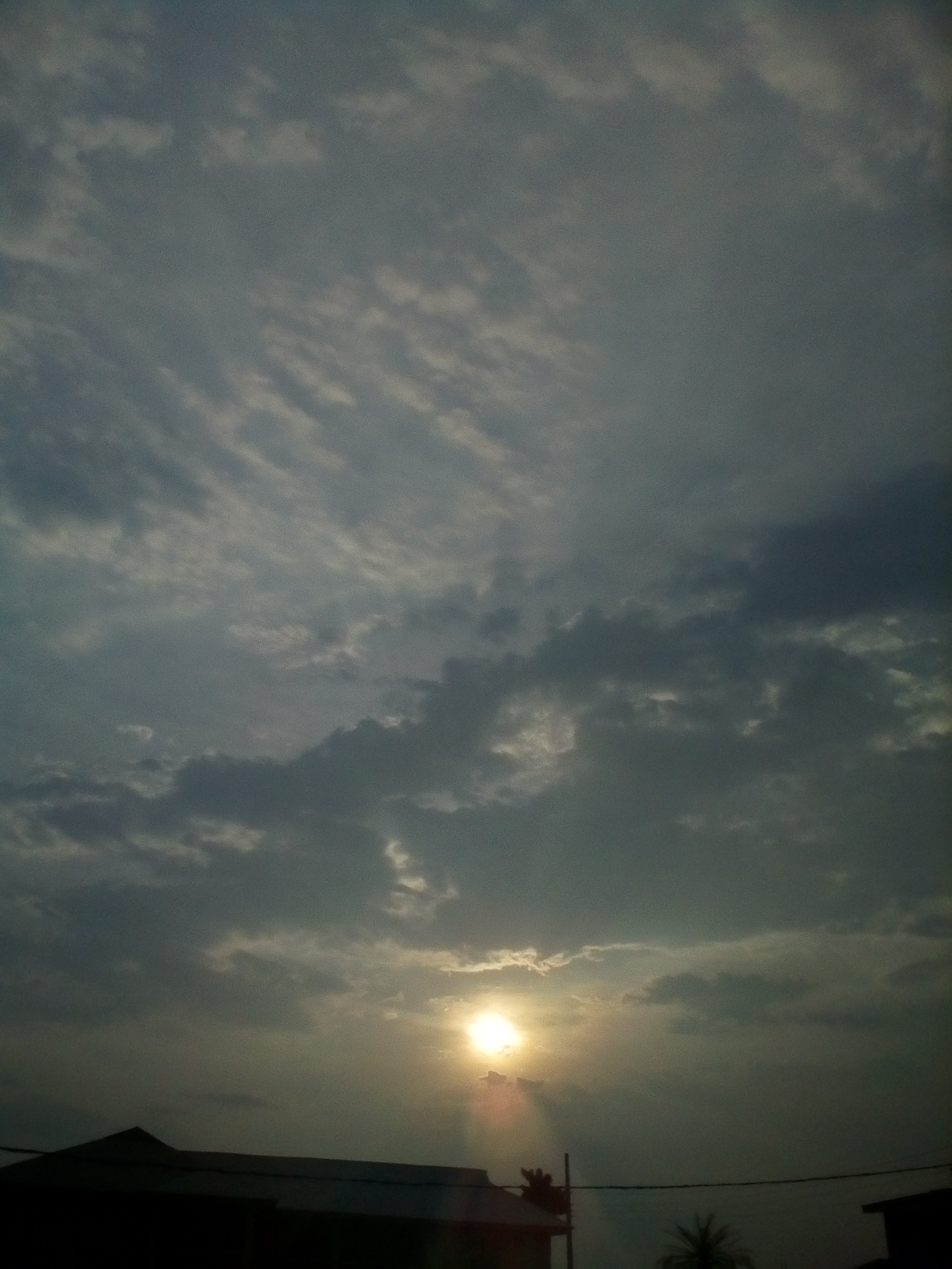 IMG_20190710_181308.jpg