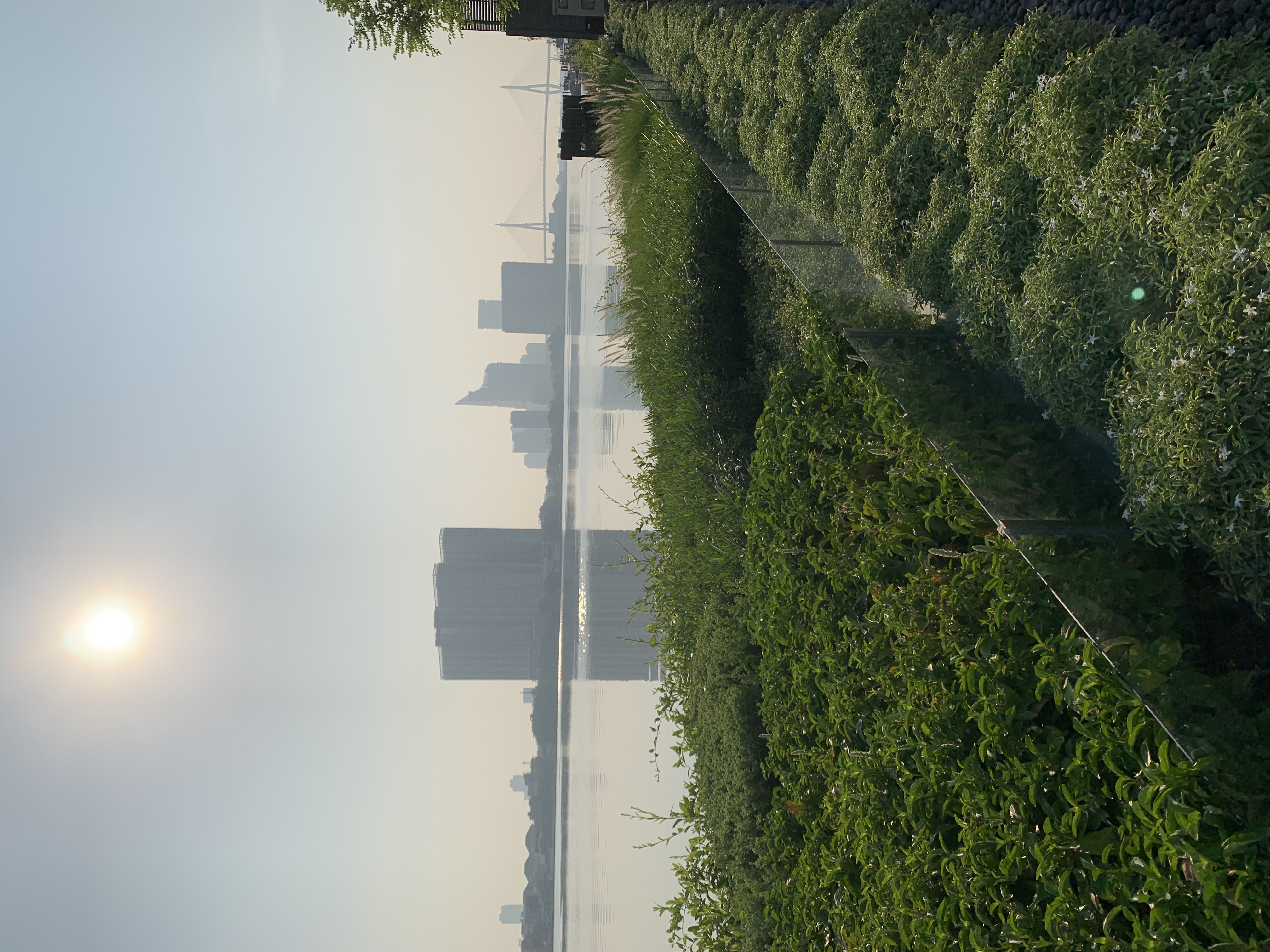 Chao Phraya River15.jpg