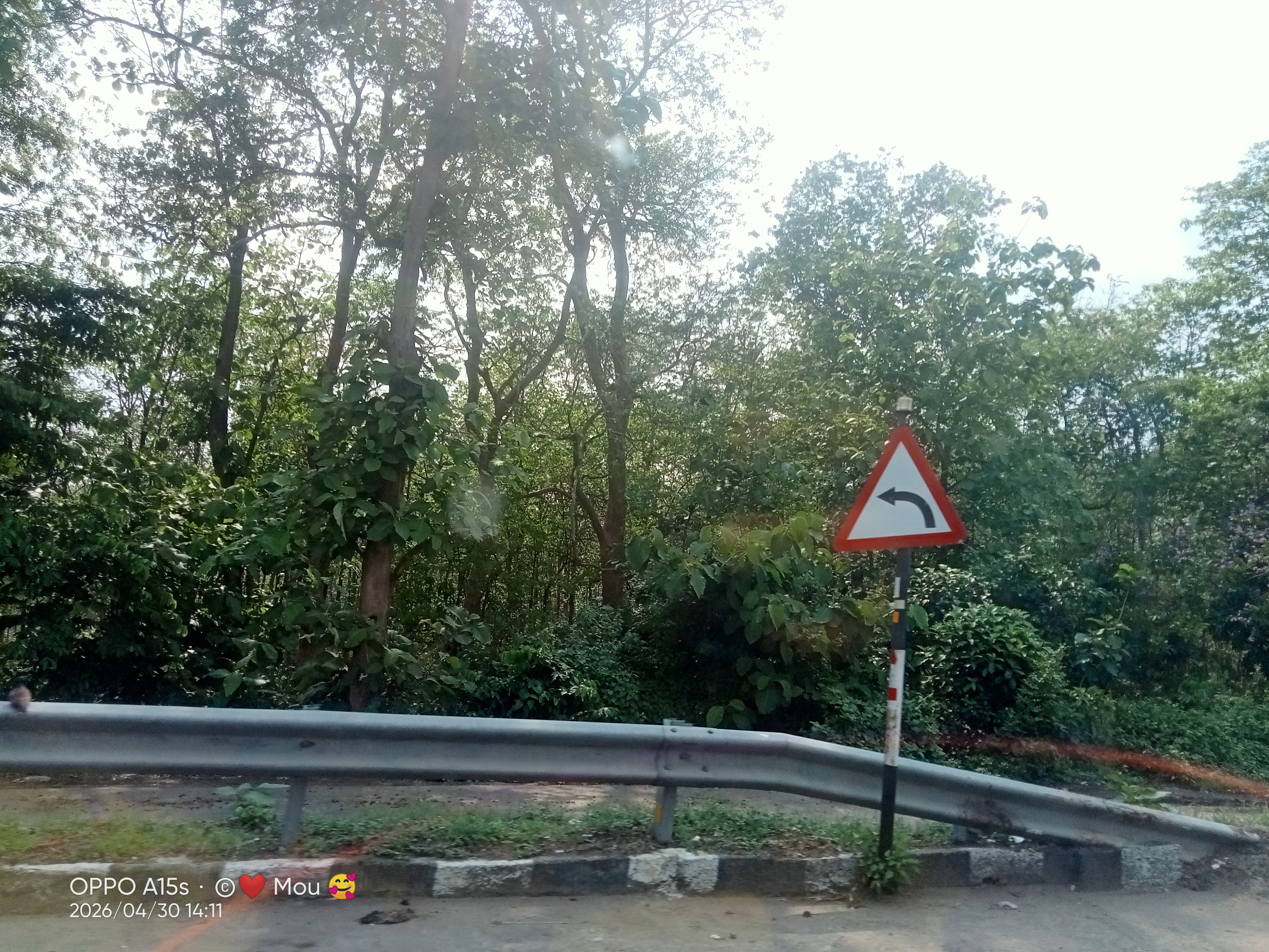 IMG20260430141146.jpg