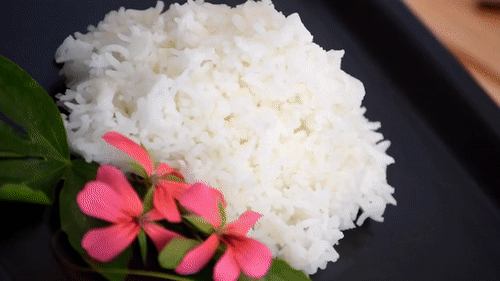 rice spinning.gif