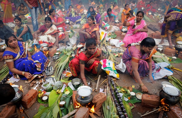 Pongal.jpg