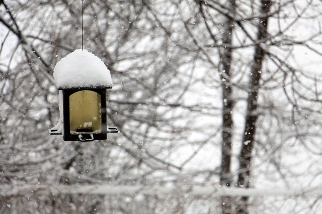 winter-1428270_640.jpg