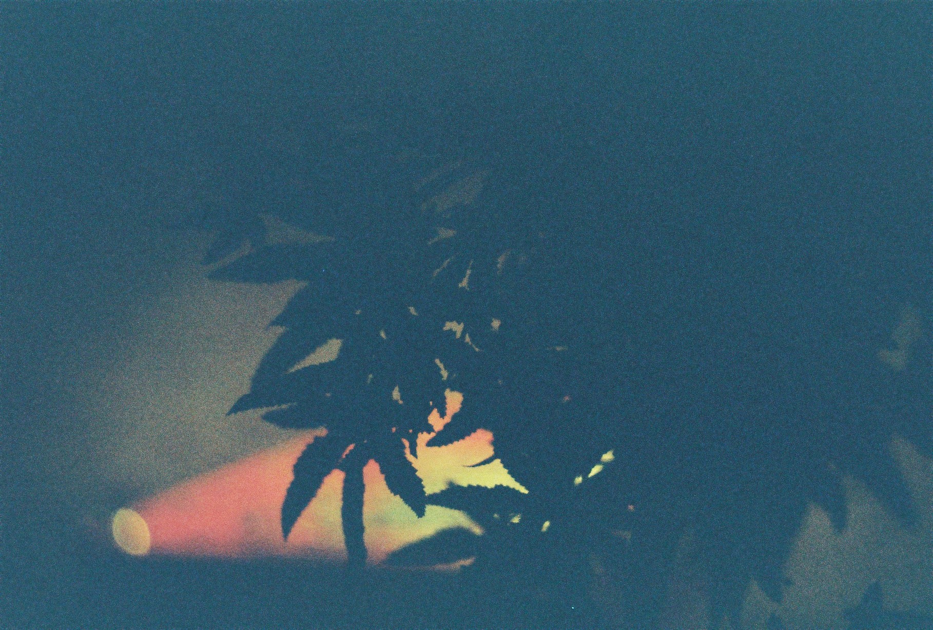 000018.JPG